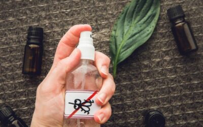 Do It Yourself Pest Control Guide for Smart Home Protection