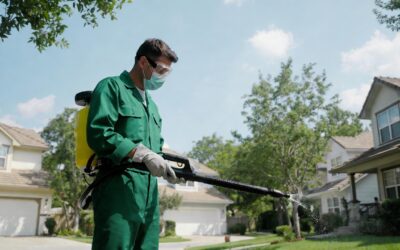 How Safer Pest Management Reduces Infestation Risks Over Time